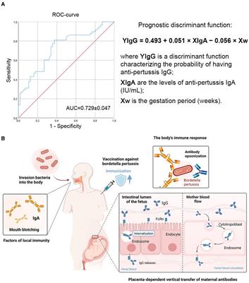 Diphtheria, tetanus, and pertussis immunity among healthcare professionals and pregnant women in the Moscow region, Russian federation: A preliminary cross-sectional study